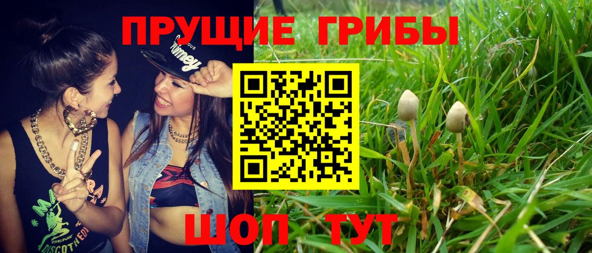Донской  наркошоп  Псилоцибиновые грибы GOLDEN TEACHER  Вход с VPN  Псилоцибиновые грибы ЛСД 